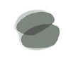 Smoke-Green-lenses.jpg (2514 bytes)